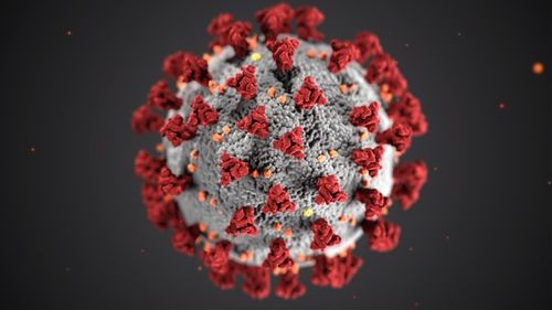 Das Coronavirus-Photo by CDC on Unsplash
