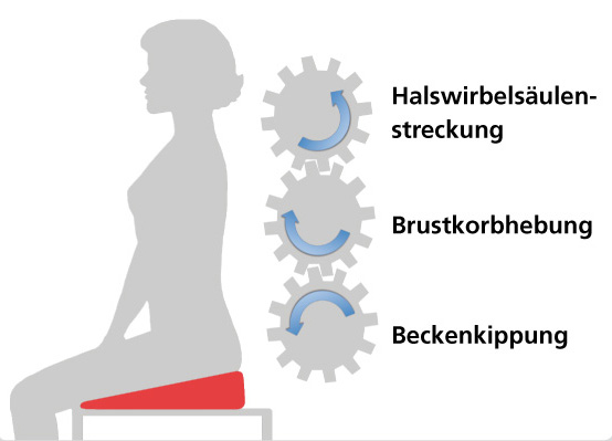 Zahnradmodell nach Brügger Sternosymphysales Syndrom